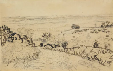 View of Montmajour